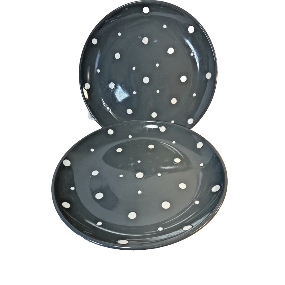 Temp-tations by Tara Gray White Polka Dot Dinner Plates Set of 2 KFI-XNG-173412